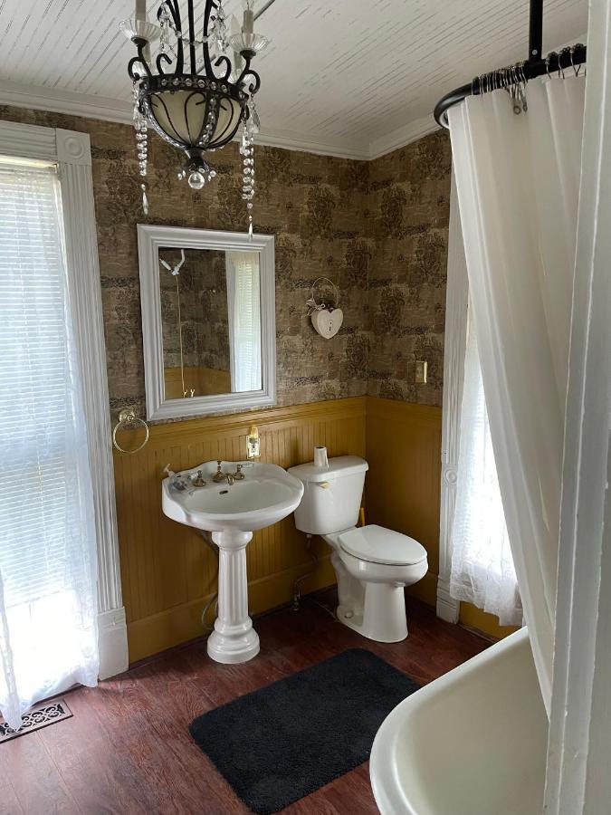 Irishette - Charming Suite In 1893 Victorian Home Dublin Buitenkant foto